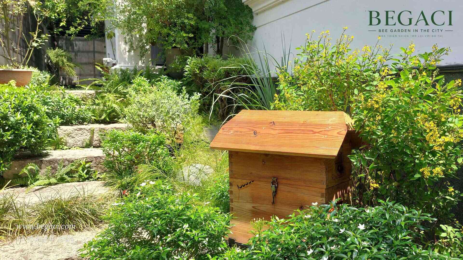 Nhà có tổ Ong - Ý Nghĩa, Giá trị và Tài Lộc (phần 2)